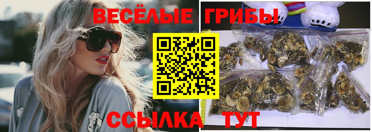 Миллерово  Псилоцибиновые грибы MAGIC MUSHROOMS  Вход с VPN  Псилоцибиновые грибы Psilocybine cubensis 