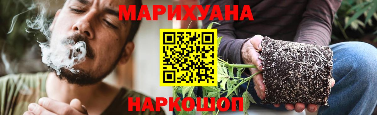 Канабис конопля Миллерово
